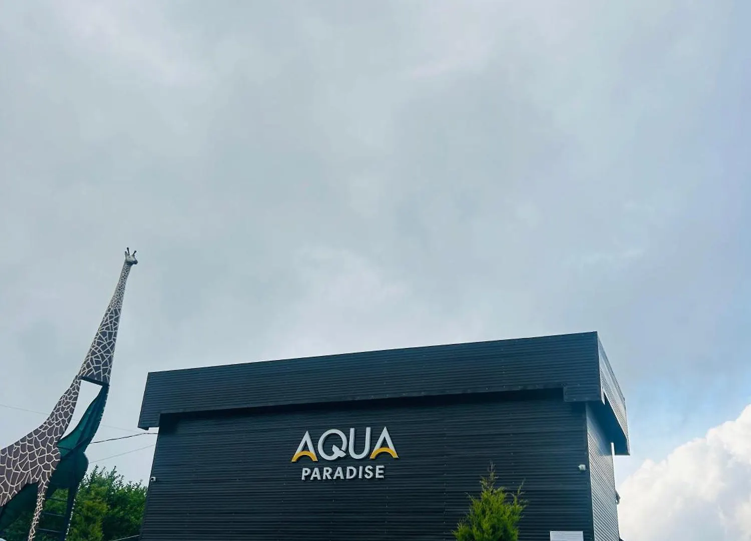 Villa Aqva Paradise Resort Vagamon India